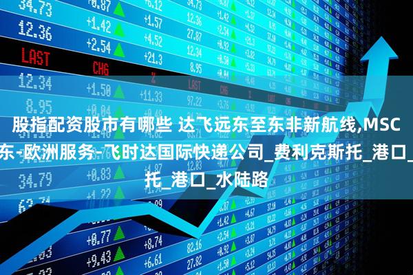 股指配资股市有哪些 达飞远东至东非新航线,MSC调整远东-欧洲服务-飞时达国际快递公司_费利克斯托_港口_水陆路