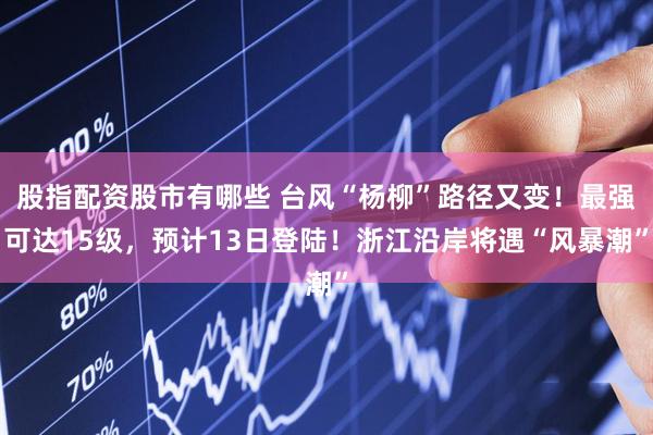 股指配资股市有哪些 台风“杨柳”路径又变！最强可达15级，预计13日登陆！浙江沿岸将遇“风暴潮”