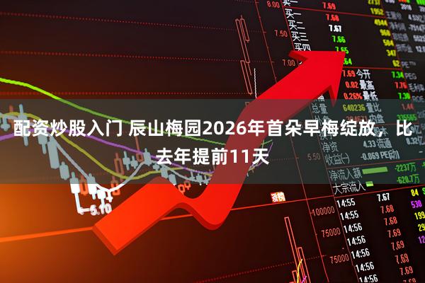 配资炒股入门 辰山梅园2026年首朵早梅绽放，比去年提前11天
